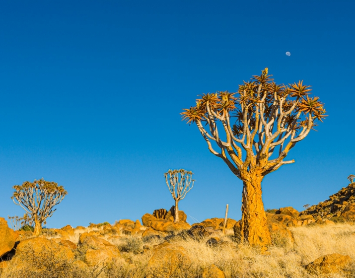 17-Day Namibia Budget Safari