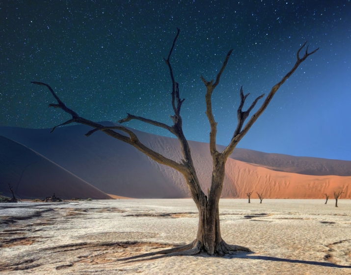21-Day Namibia Budget Safari