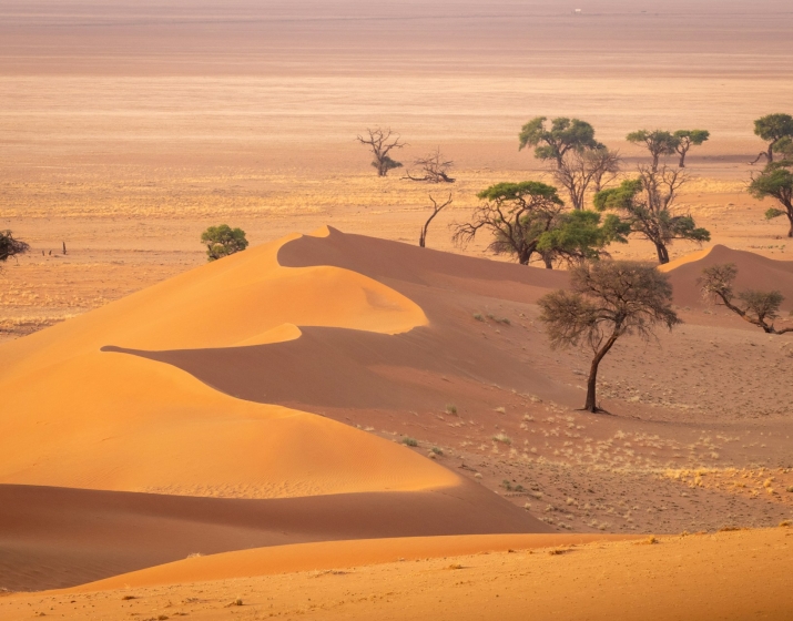 7-Day Namibia Desert & Wildlife Budget Safari