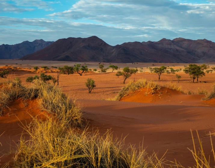 8-Day Namibia Self-Drive Budget Adventure